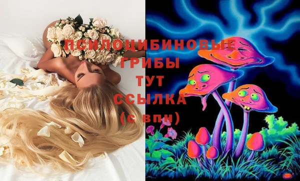 apvp Балахна