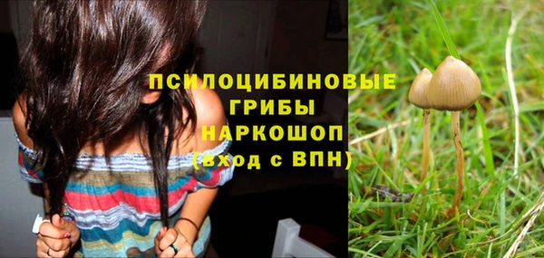 apvp Балахна